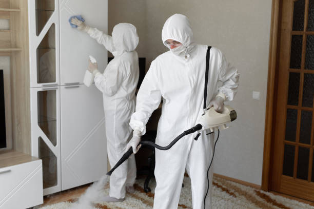 24/7 Emergency Odor Removal experts in Lawrenceville, IL