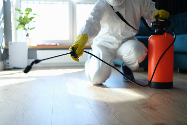 Reliable Odor Removal contractor in Lawrenceville, IL by Trauma Clean Pros